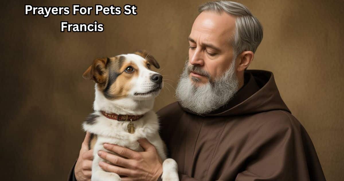 Prayers For Pets St Francis